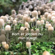 Kort er jorden nu min slægt