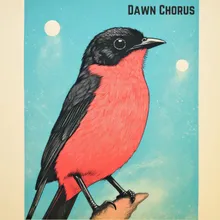 Dawn Chorus, Pt. 25