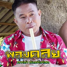 พลมคลย