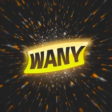 Wany