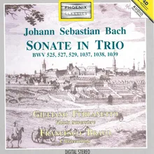 Sonata in Do maggiore, BWV 1037 : Adagio