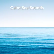 Calm Sea Sounds, Pt. 25