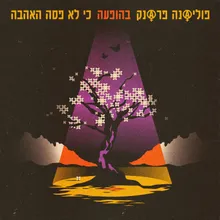 ארץ אחרת (בהופעה)