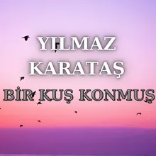 Bir Kuş Konmuş