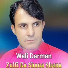 Zulfi Ka Shana Shana