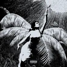 Palm Angel