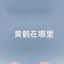 黄鹤在哪里