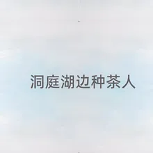 洞庭湖边种茶人