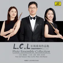 Trio for Two Flutes and Piano Op. 119: III. Allegro