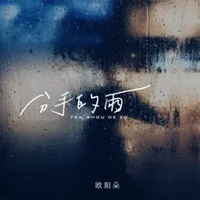 分手的雨