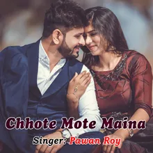 Chhote Mote Maina