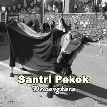 Santri Pekok