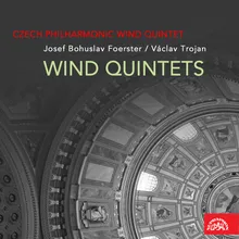 Wind Quintet in D Major, Op. 95: IV. Moderato e tranquillo - Allegro vivo - Allegro deciso