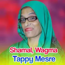 Har Chata Khpal Watan Kashmir De Tappy