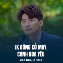 LK Bông Cỏ May, Cánh Hoa Yêu