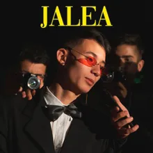 Jalea