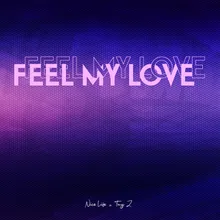 Feel My Love