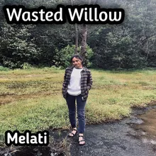 Wasted Willow