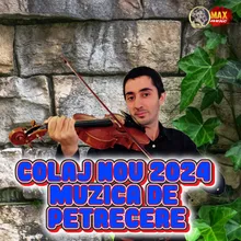Mega Colaj Muzical de Petrecere Live NUNTA