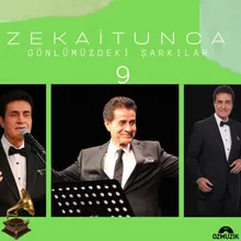 Bu Gece Çamlarda Kalsak