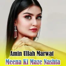 Meena Ki Maze Nashta