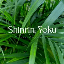 Shinrin Yoku