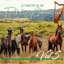 Flor De Melero