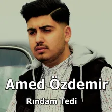 Rındam Tedi