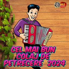 Melodii din 2024 CHEF DE CHEF 2024