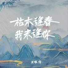 枯木逢春我未逢你