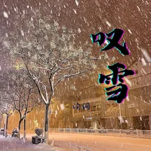 叹雪