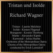 Tristan und Isolde, WWV 90, Act. I, Scene 5: "Begehrt, Herrin, was Ihr wünscht"