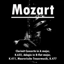 Clarinet Concerto in D Major, K. 622: II. Adagio