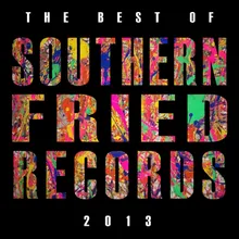 The Best of Southern Fried Records 2013