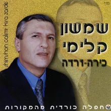 אמינה