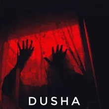 DUSHA