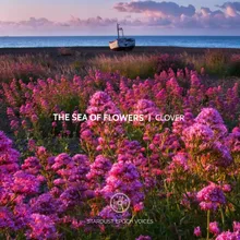The Sea of Flowers