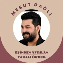 Eşinden Ayrılan Yaralı Ördek