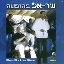 ציפור השמש