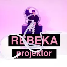 Projektor