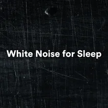 White Noise, Pt. 10