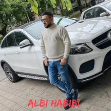 Albi Habibi