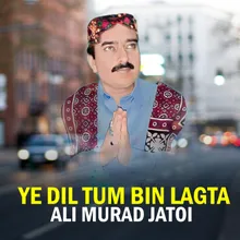 Ye Dil Tum Bin Lagta