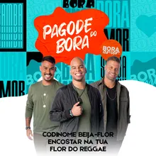 Codinome Beija-Flor / Encostar Na Tua / Flor do Reggae