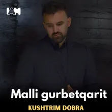 Malli gurbetqarit