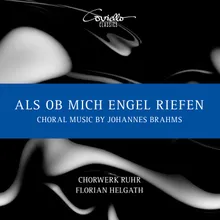 Drei Gesänge, Op. 42: No. 2, Vineta