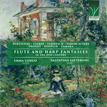 Fantasia su temi di Bellini, for Flute and Harp