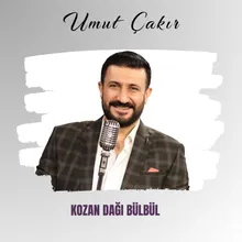 Kozan Dağı Bülbül