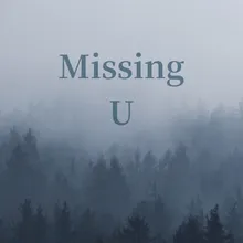 Missing U