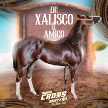 De Xalisco El Amigo